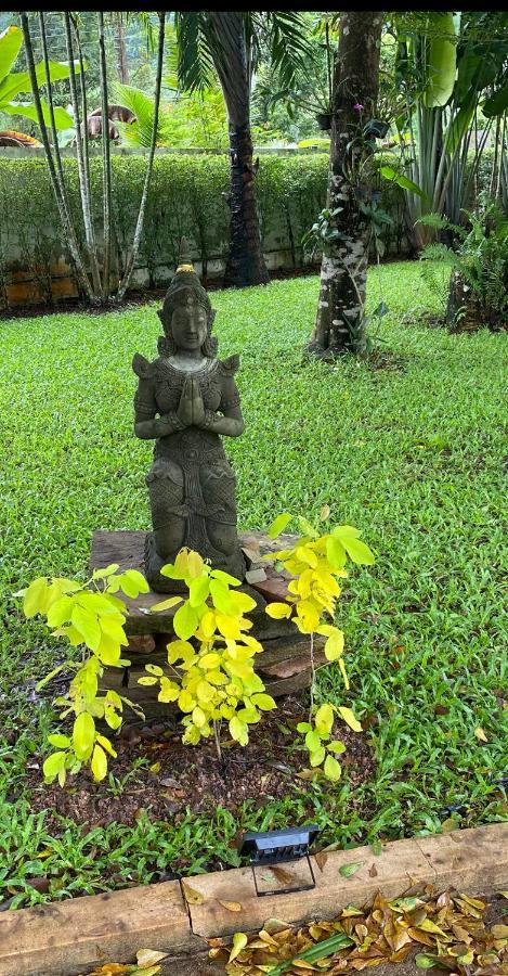 B&B Forest Hill Khao Yai Noen Hom Exterior foto