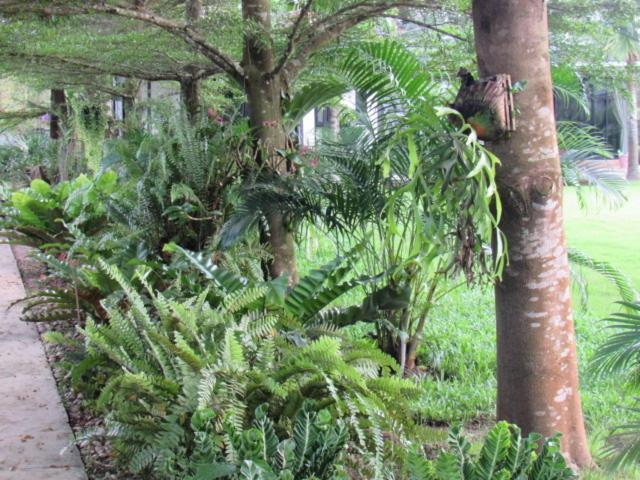 B&B Forest Hill Khao Yai Noen Hom Exterior foto