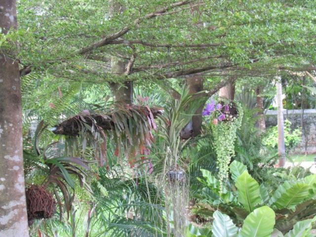 B&B Forest Hill Khao Yai Noen Hom Exterior foto